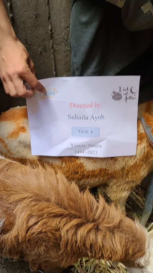 QURBAN PROGRAM 144H (2023) - Image 41