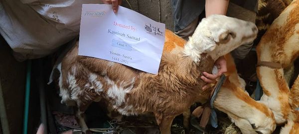 QURBAN PROGRAM 144H (2023) - Image 30