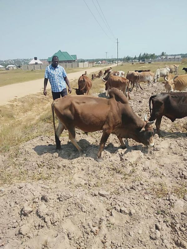 QURBAN 1443H- TANZANIA - Image 1