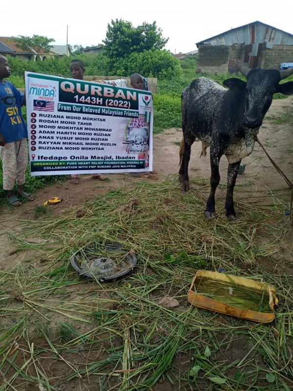 QURBAN 1443H – NIGERIA - Image 1