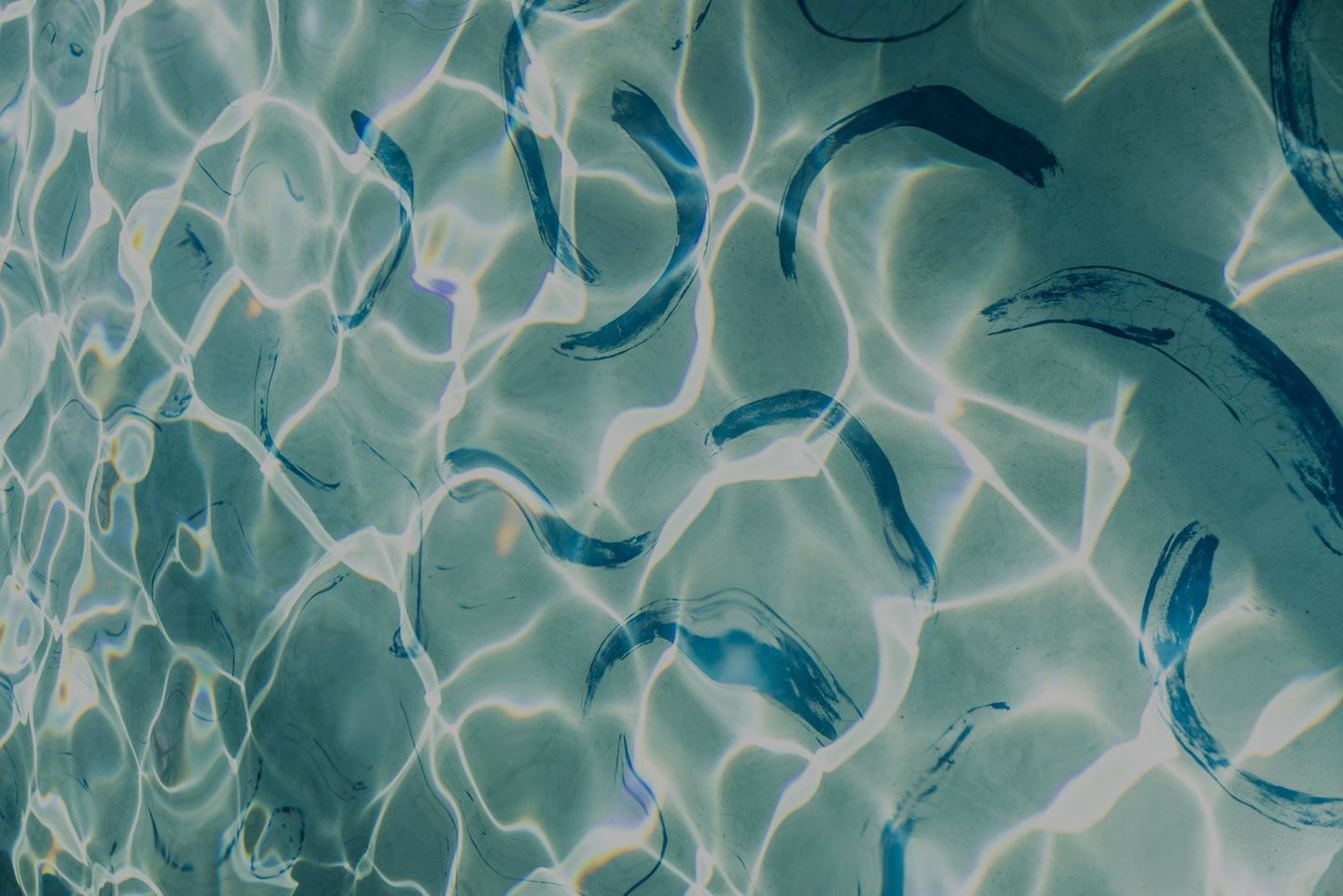 pool-hero