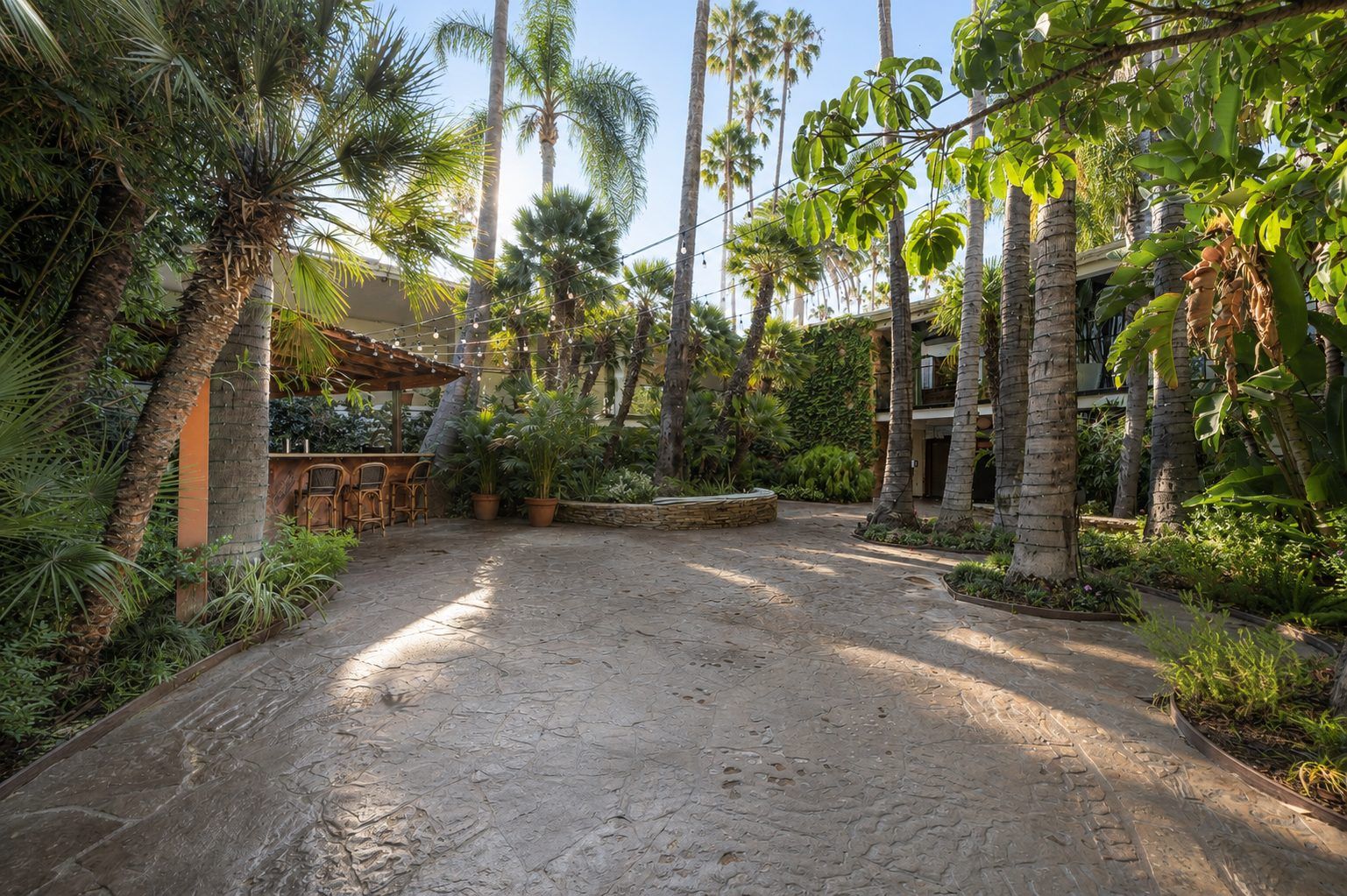 A tropical outdoor space with palm trees, a stone pathway, and an outdoor bar.
