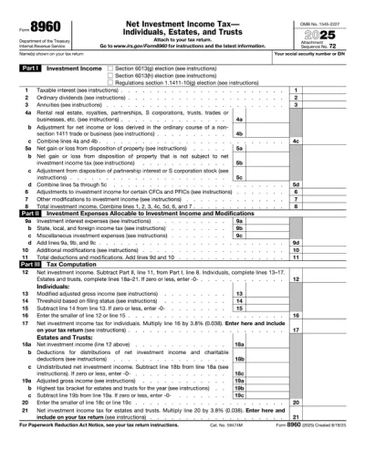 Form 8960