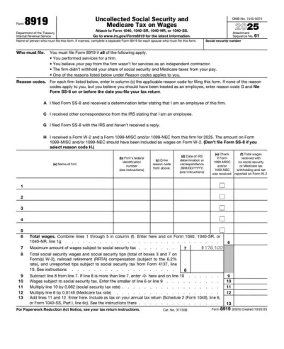 Form 8919