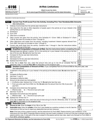 Form 6198