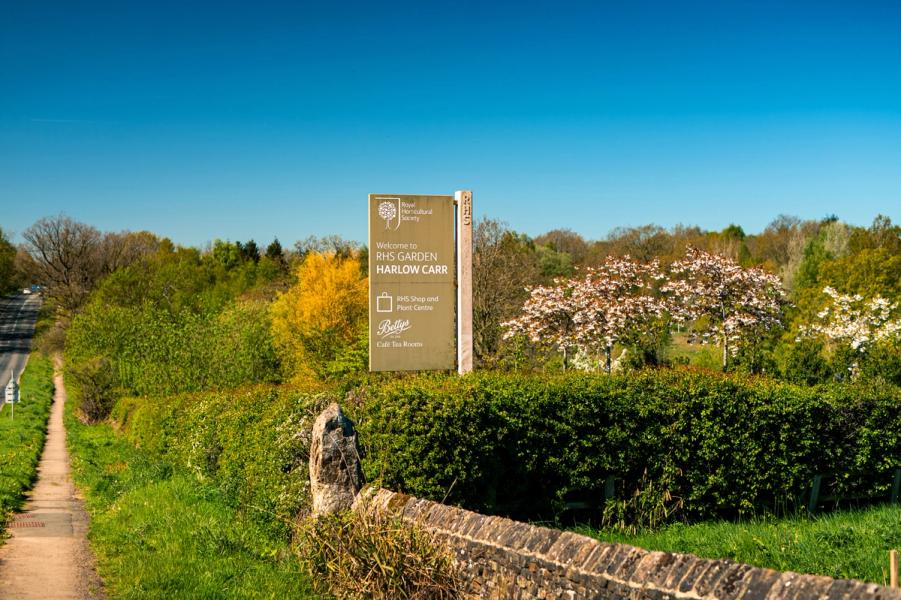 Thumbnail for Harrogate’s RHS Gard...