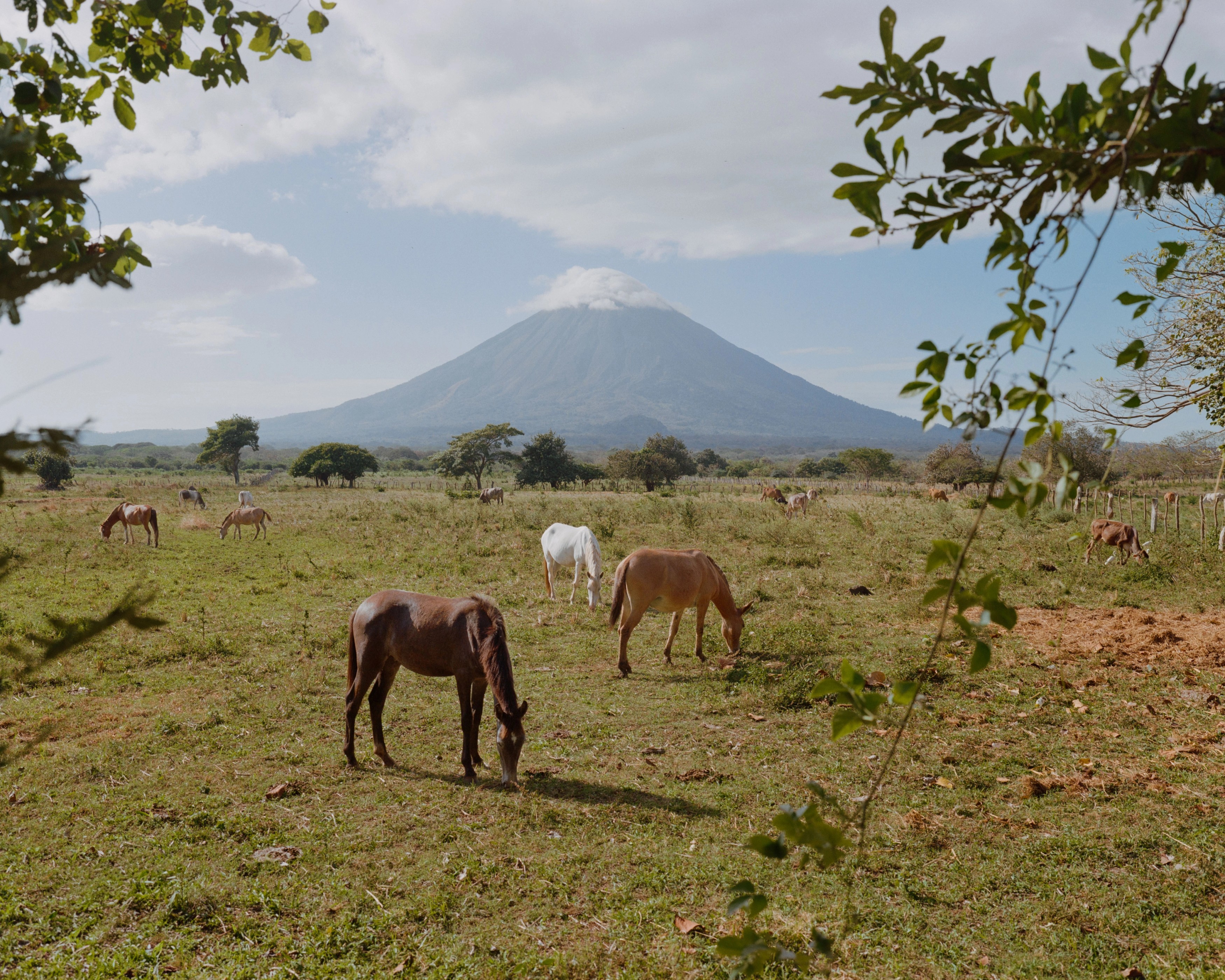 Photography from gallery all/nicaragua by Nathaniel Perales