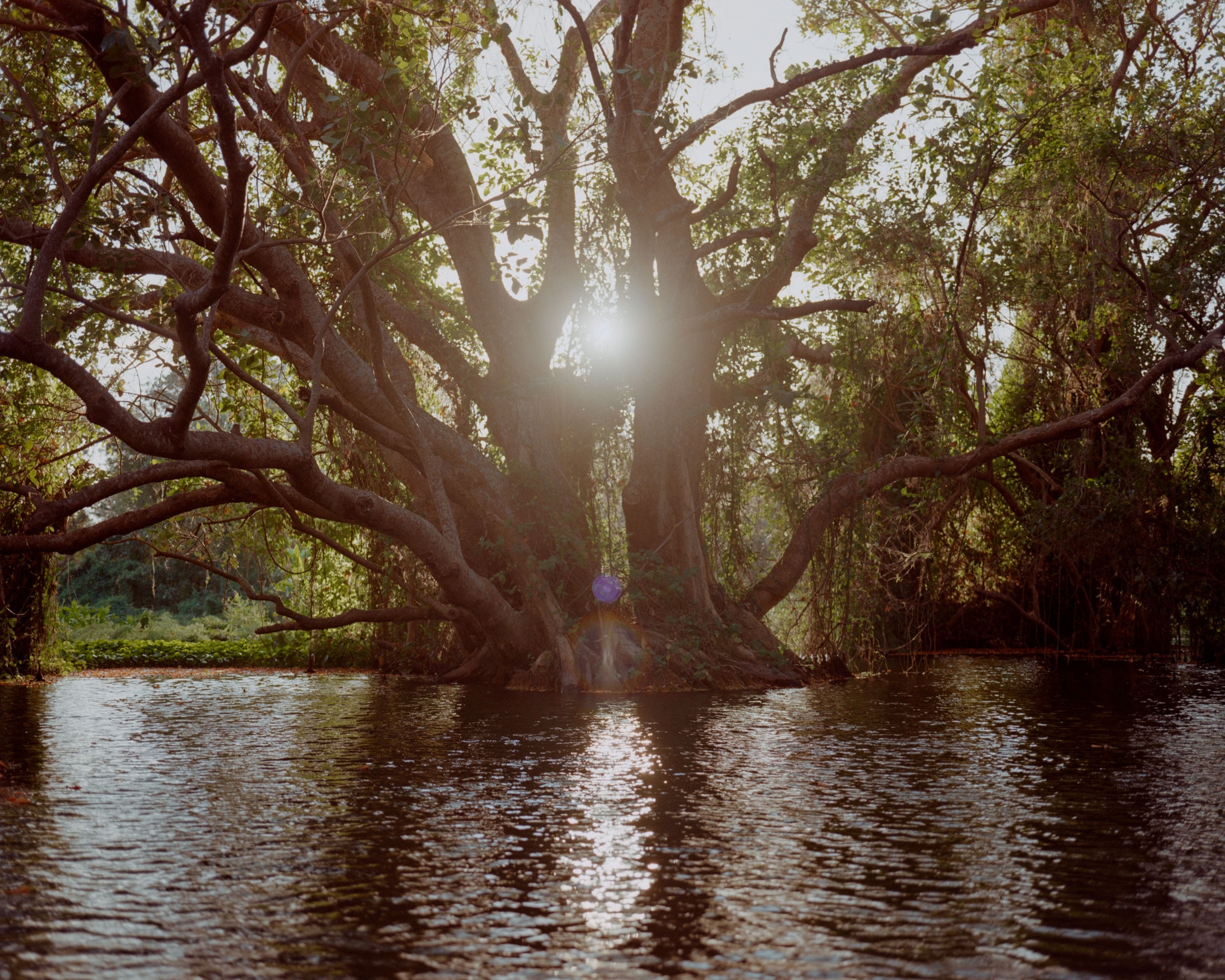 Photography from gallery all/nicaragua by Nathaniel Perales