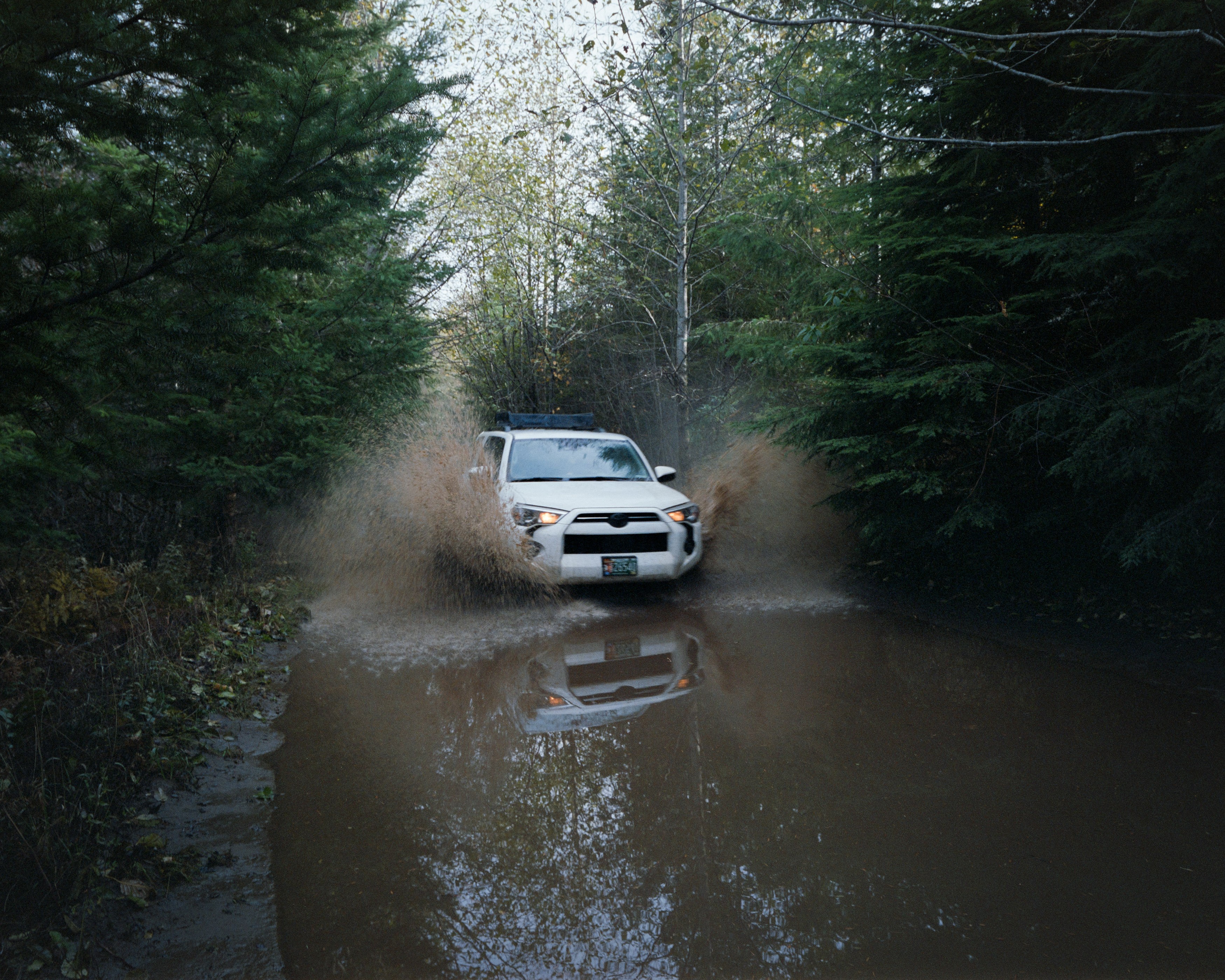 Photography from gallery all/foraging-in-mount-hood by Nathaniel Perales