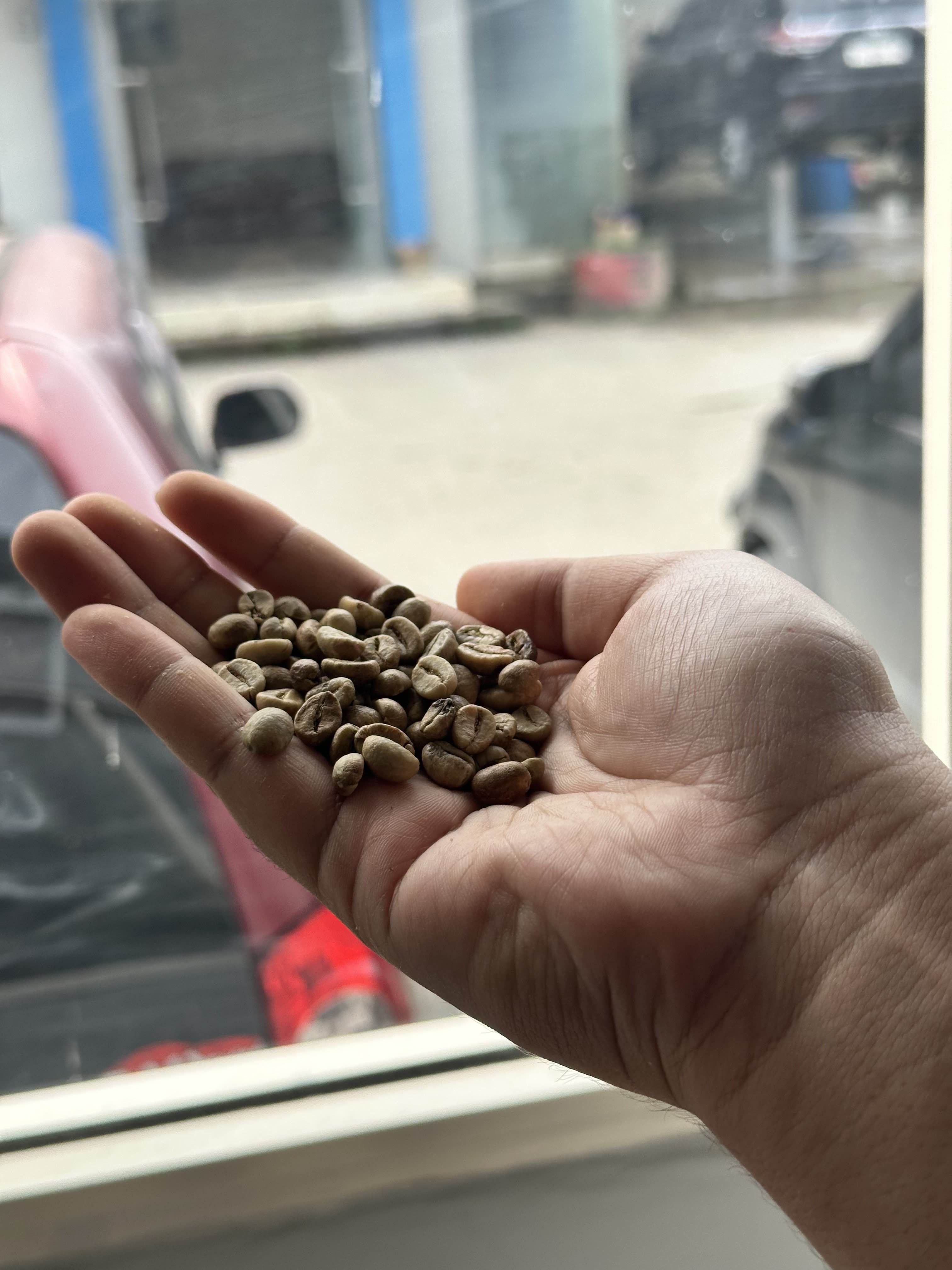 Hanya bean berkualitas