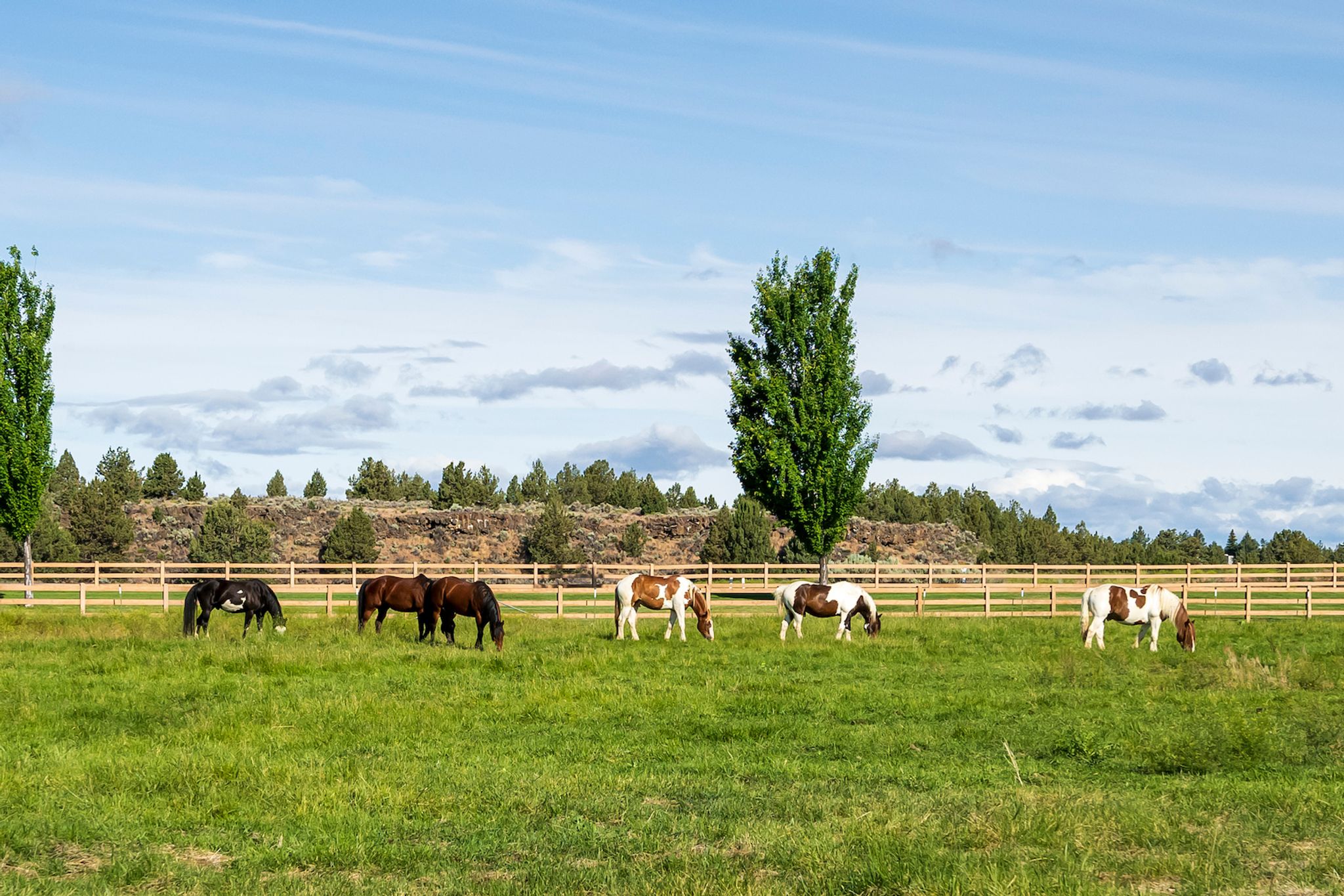 SPRING DAYS & LONGER STAYS