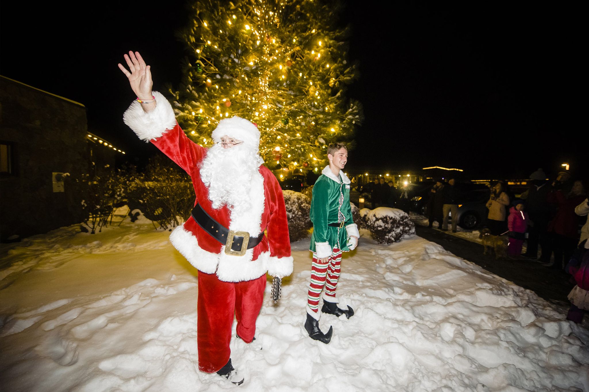 Thanksgiving Buffet Dinner