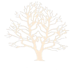 UAB „Jūsų sveikata“