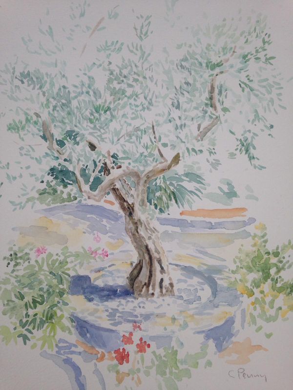 Olive Tree, Study 1