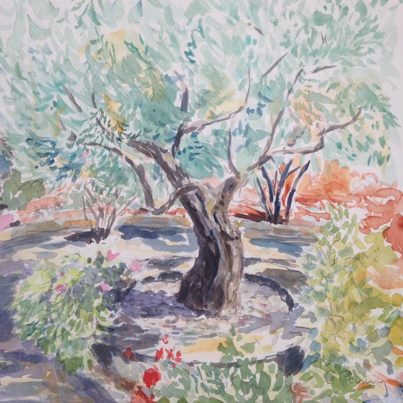 Olive Tree Study 2