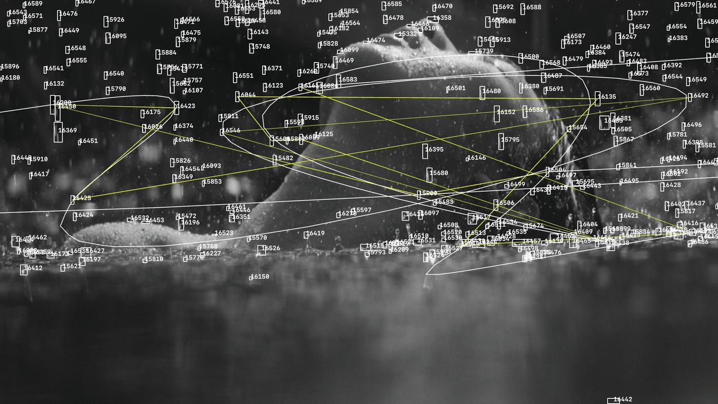 Algorithmic Preservation — video still