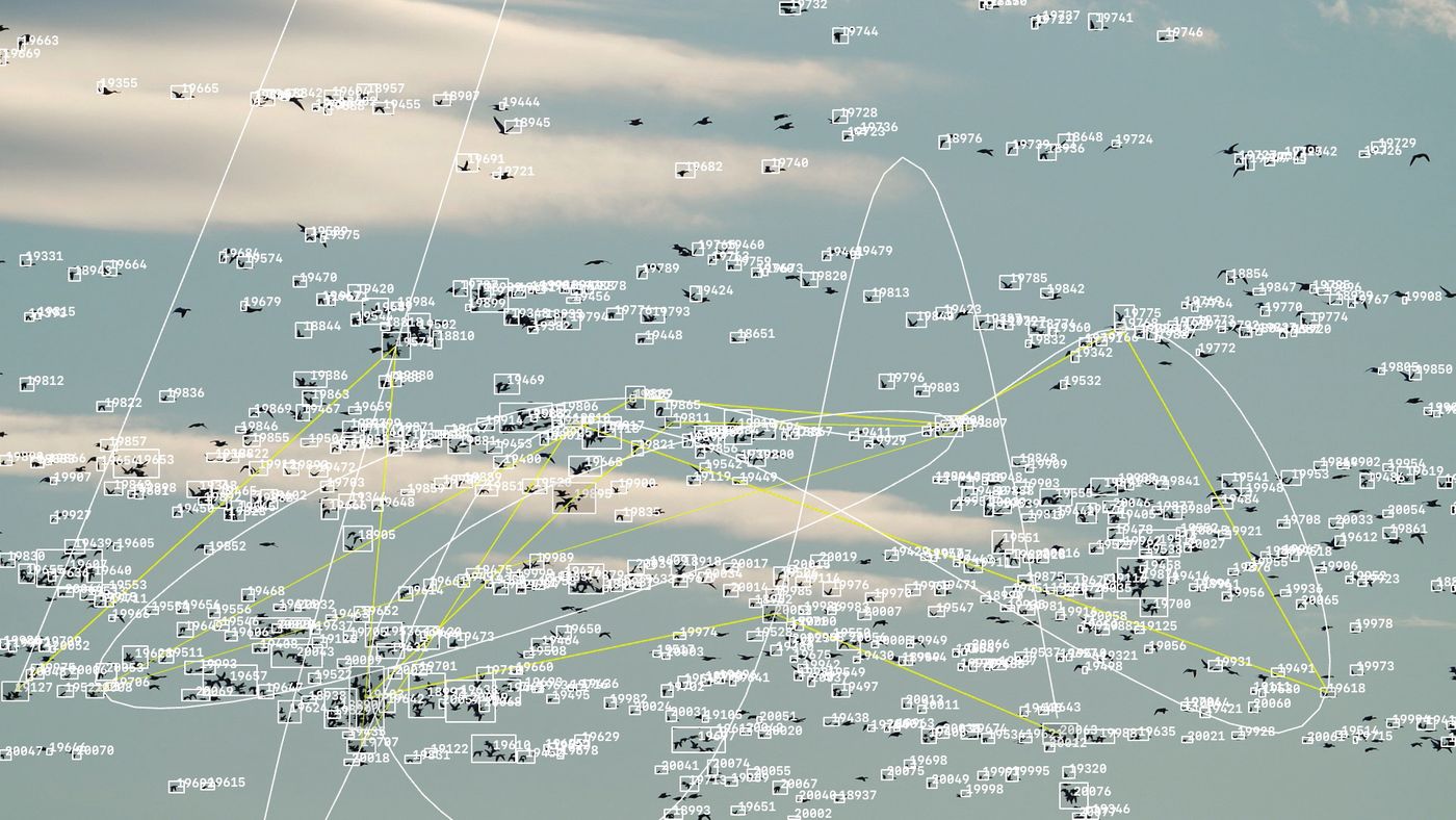 Algorithmic Preservation — video still