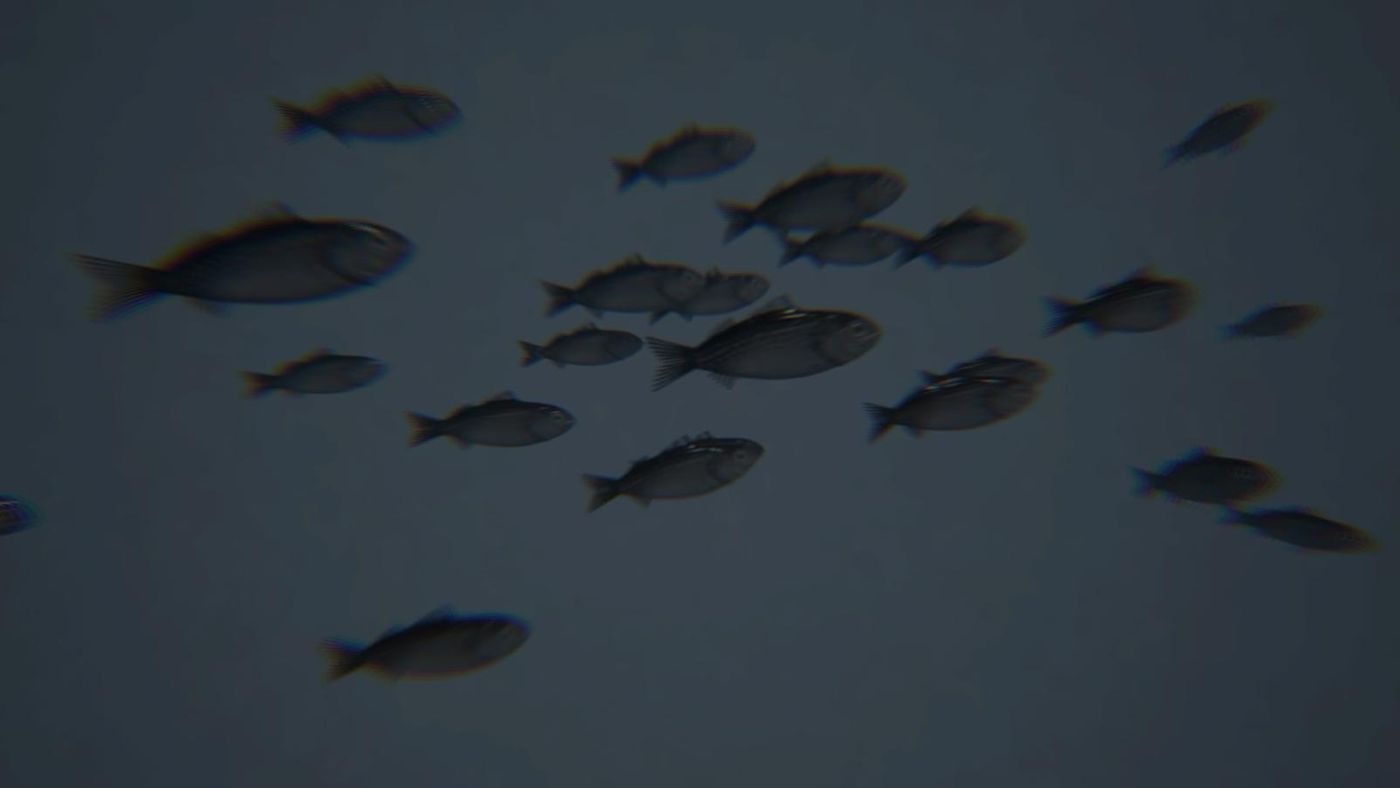 Still from the VR animation — a dark, amorphous school of fish drifting in grey water