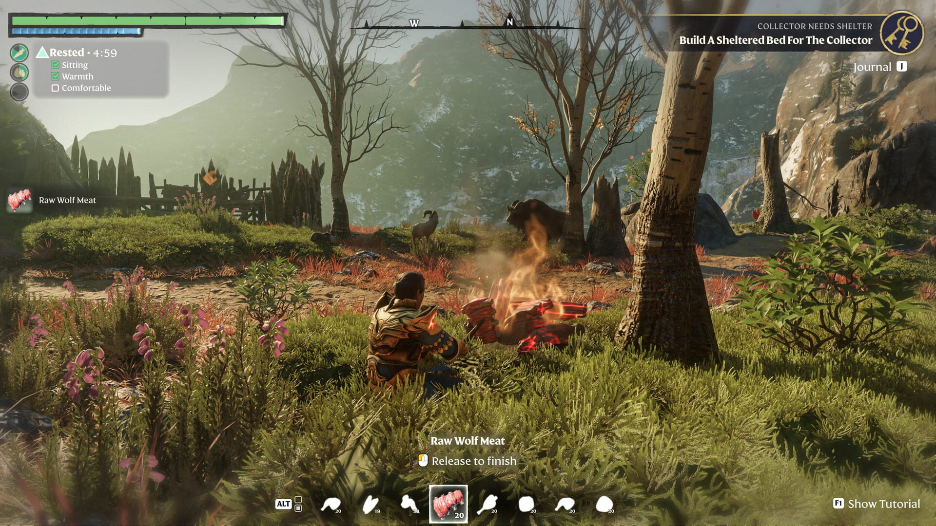 An Enshrouded character crouching at a campfire cooking raw wolf meat in a grassy clearing