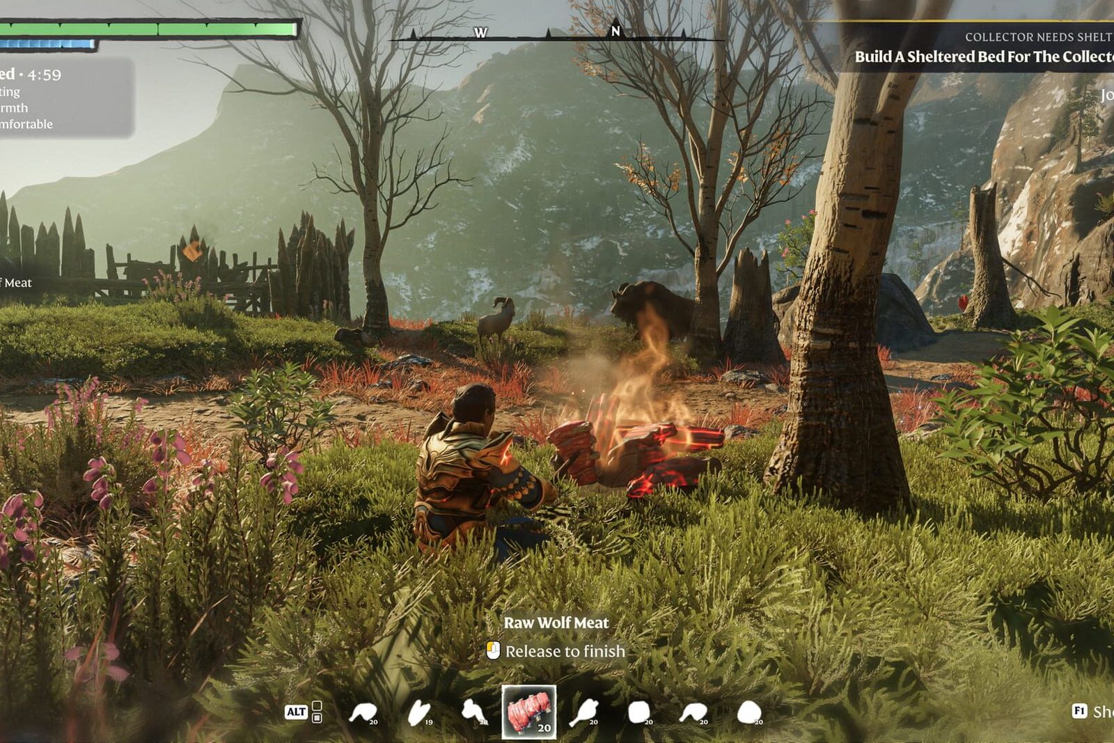 An Enshrouded character crouching at a campfire cooking raw wolf meat in a grassy clearing