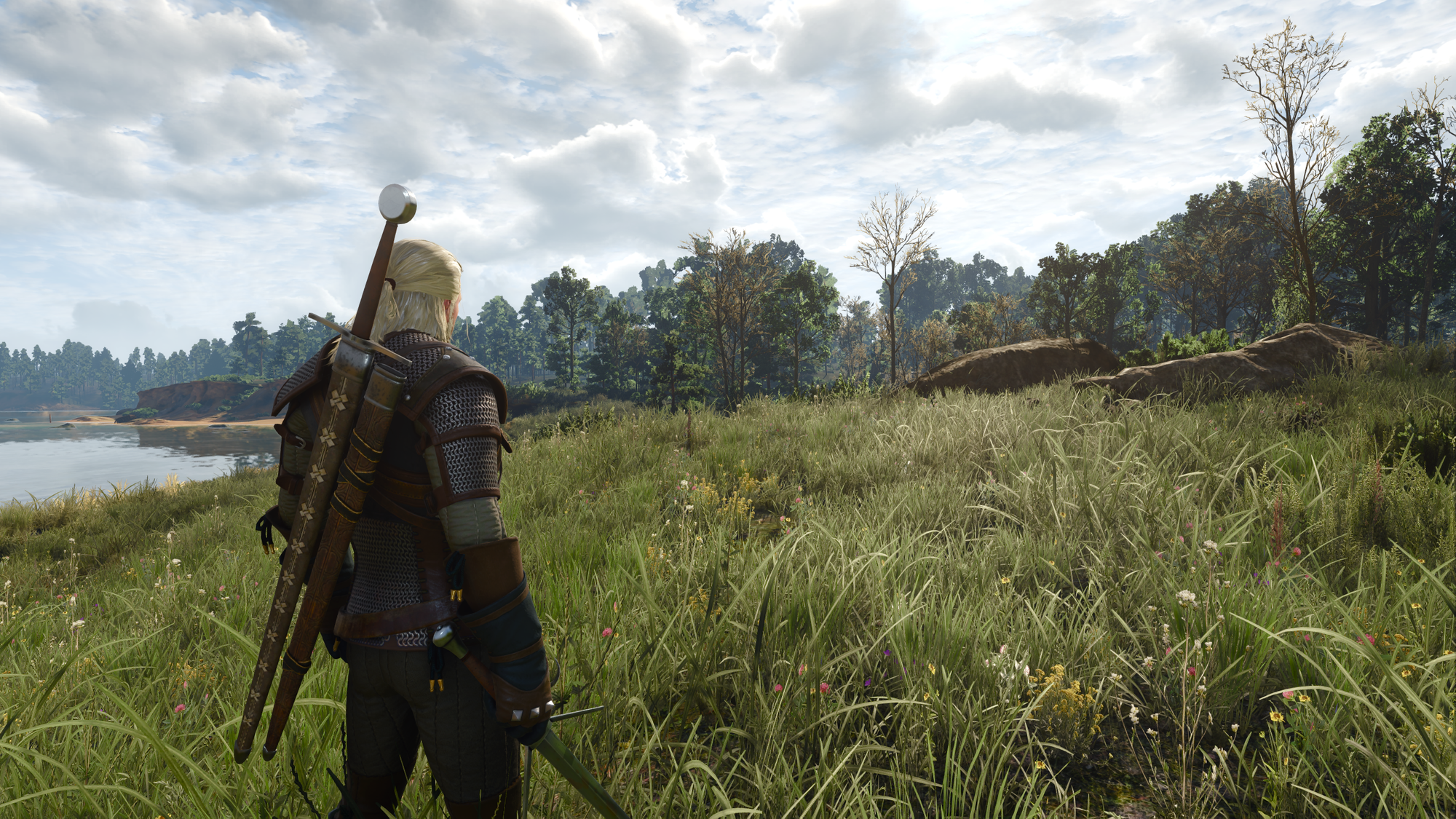 Geralt of Rivia standing in tall grass beside a lake, seen from behind