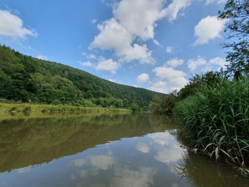 The River Tamar