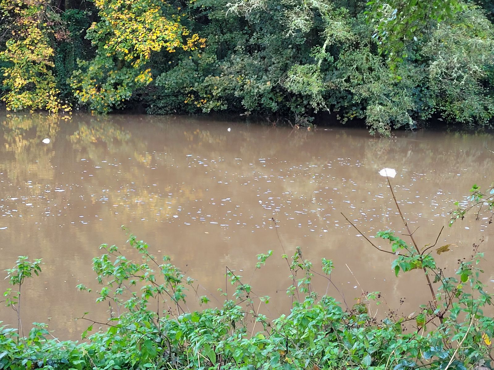 dirty river water