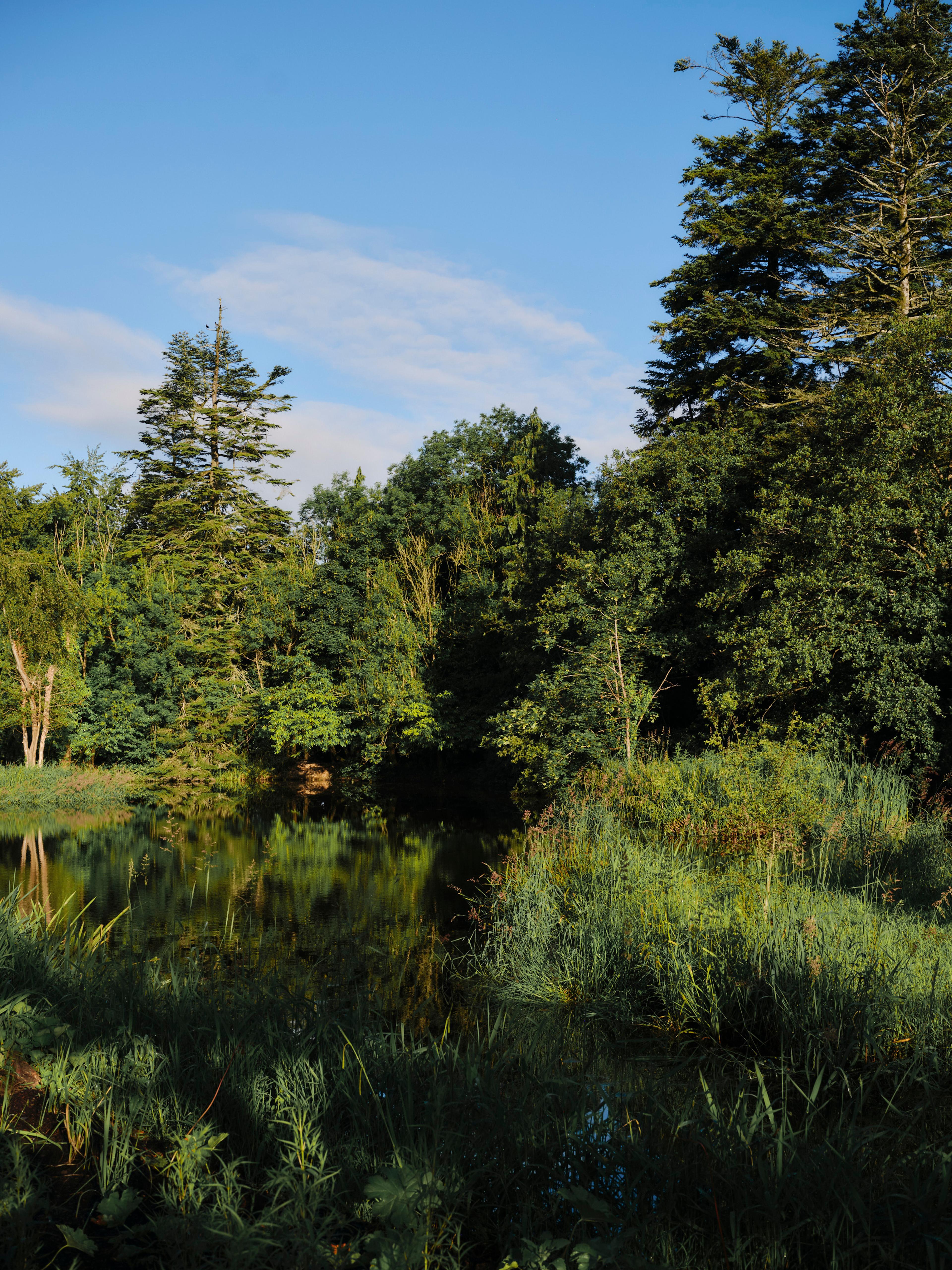 Ómós woodland gardens.