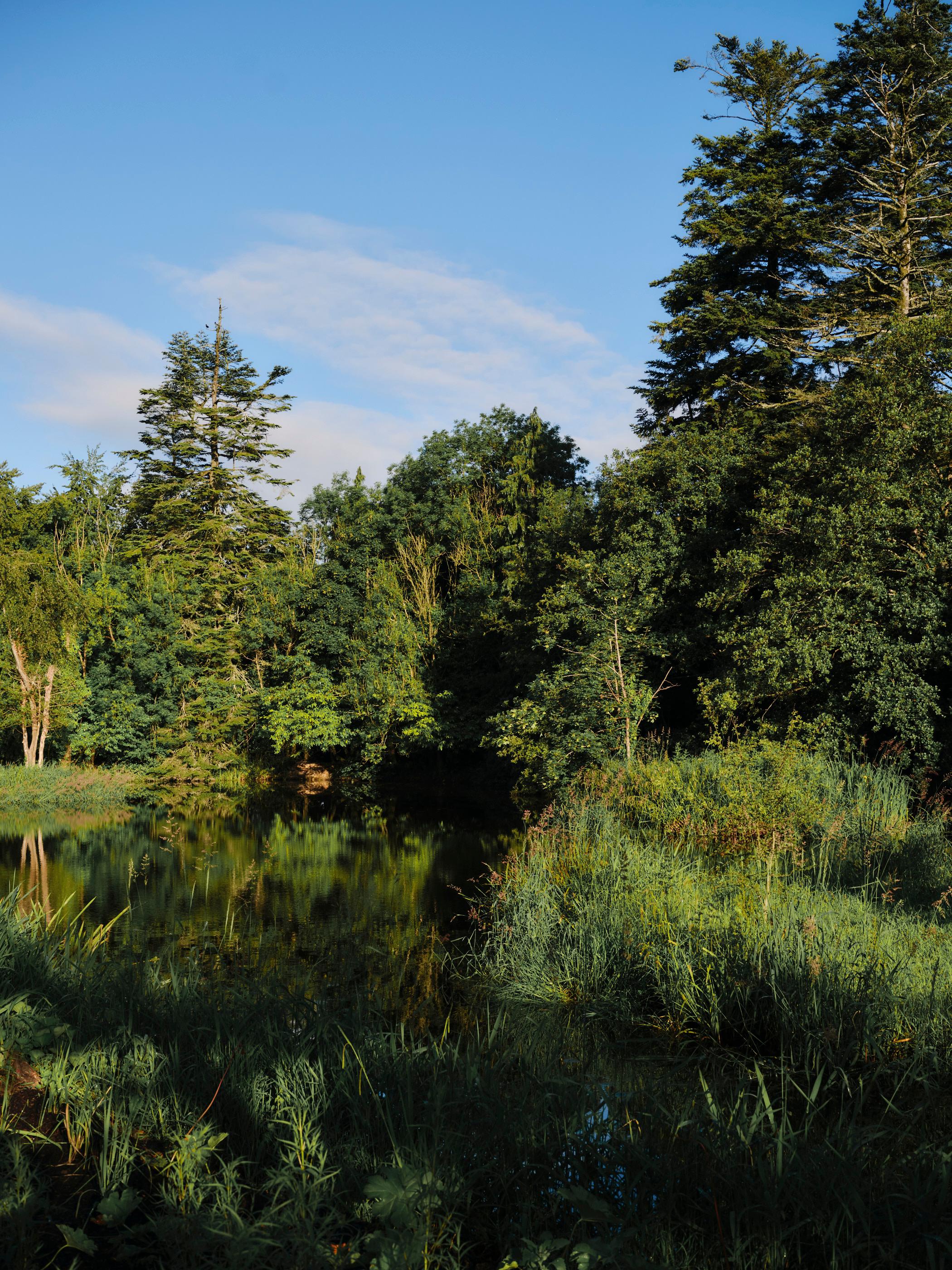 Ómós woodland gardens.
