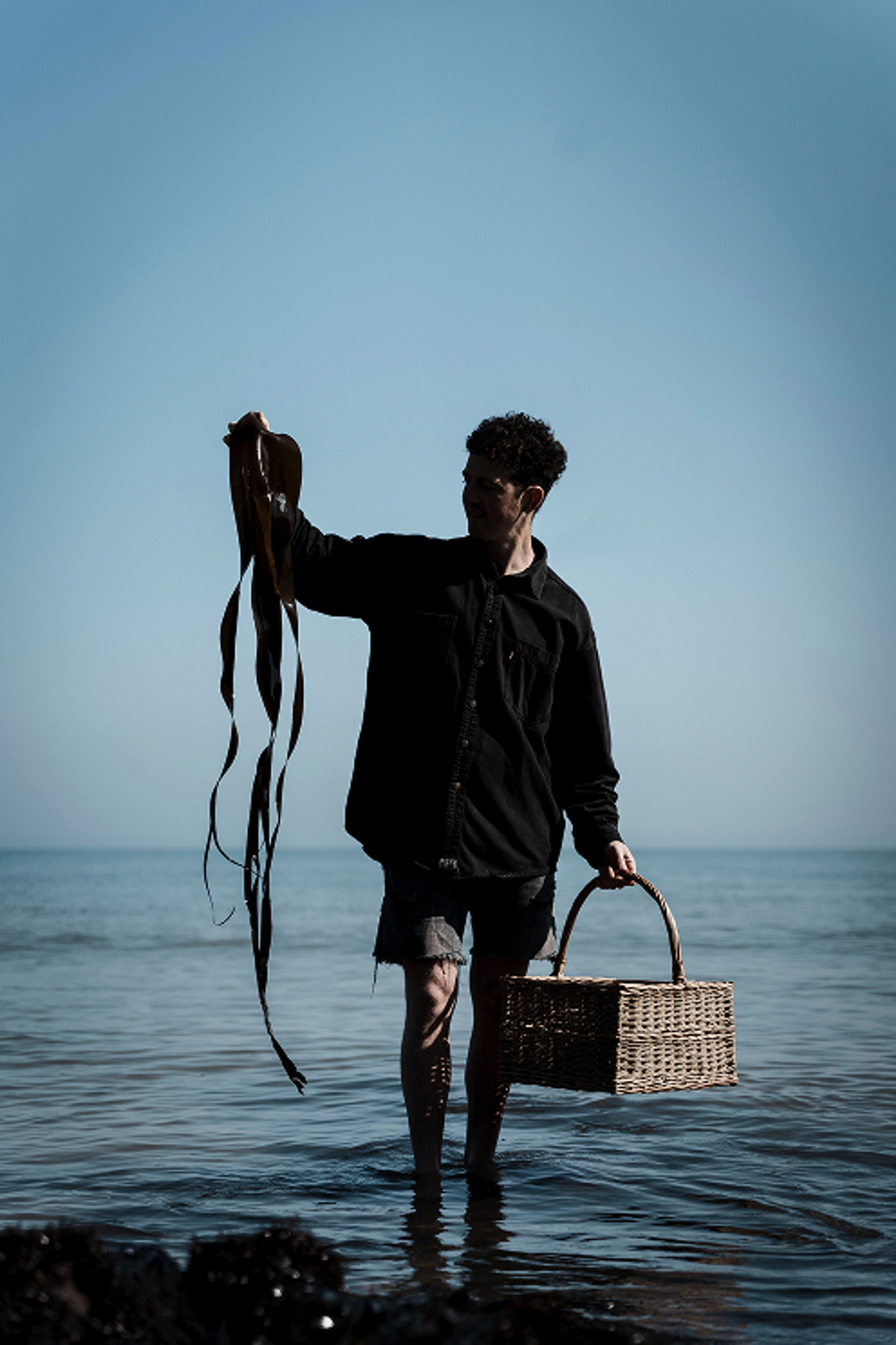 A forager stands ankle-deep in calm sea at dusk, holding fronds of seaweed and a wicker basket