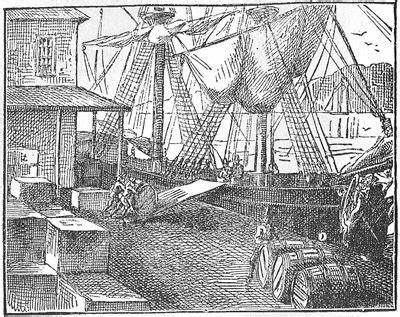 factors of the Bideford trials 