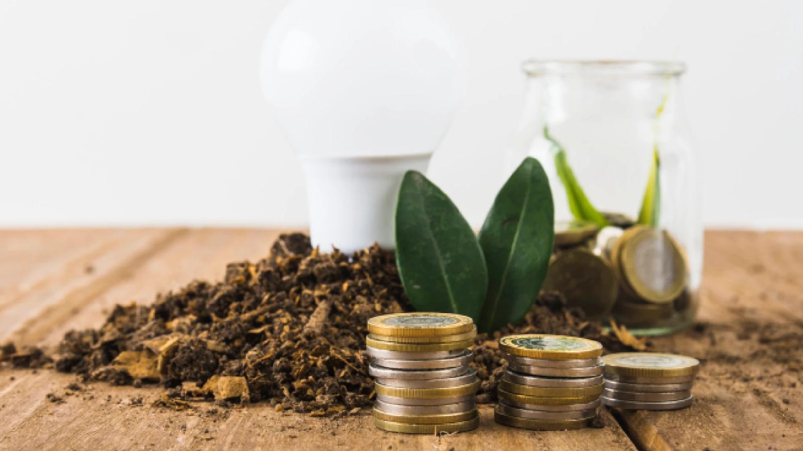 The Industrial Edge: How Open Access Renewable Power Reshapes Energy Costs for Indian Manufacturing