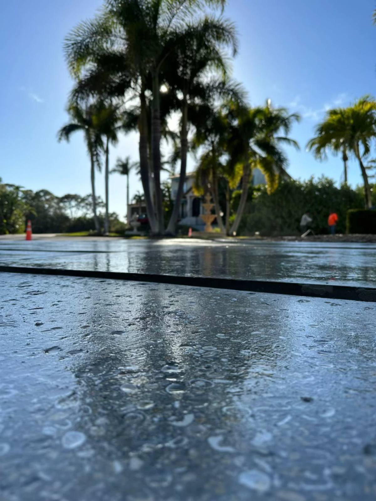 A freshly polished driveway still wet, reflecting a group of royal palms and a two-storey house, with a traffic cone at the far end