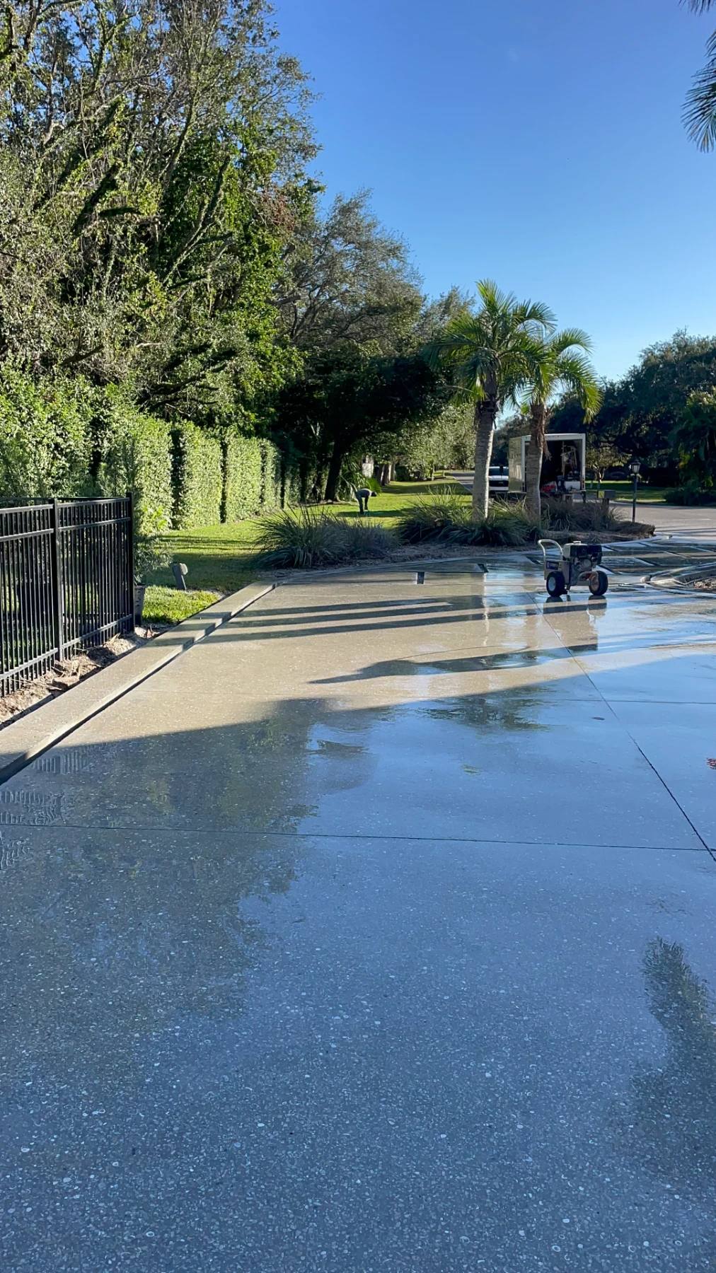 A long pale driveway still wet after washing, a pressure washer standing on it, clipped hedges and a black railing along one side and mature oaks and palms beyond