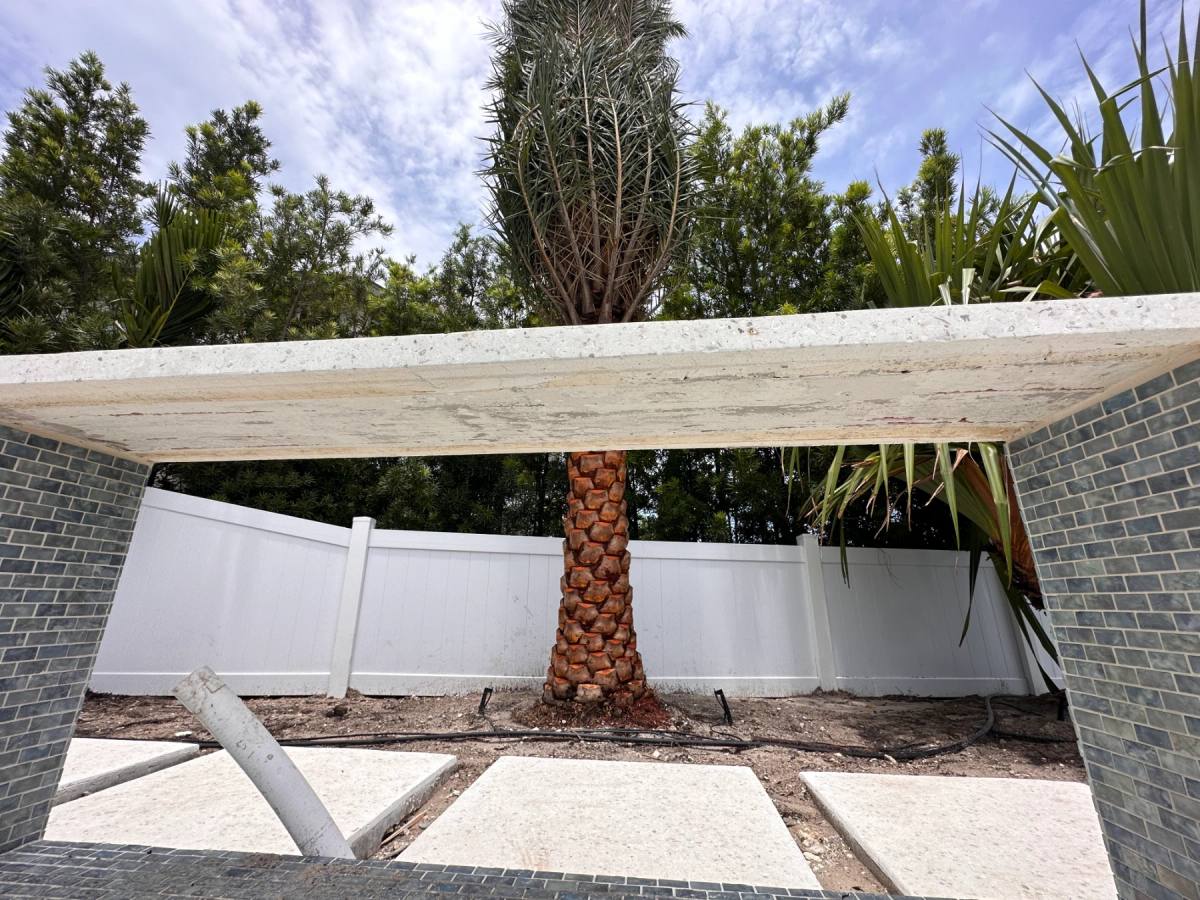 Cantilevered Shellcrete counter slab seen from below, shell-flecked top edge and rough cast underside visible