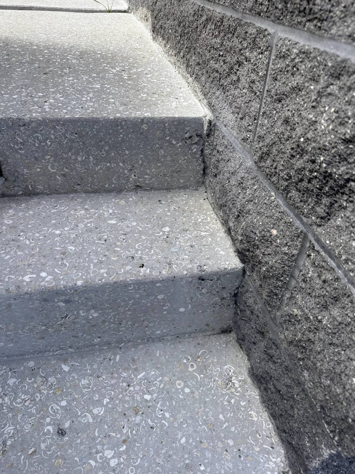 Grey Shellcrete steps seen from above beside a dark split-face block wall, the treads dense with white shells and the cast nosings crisp