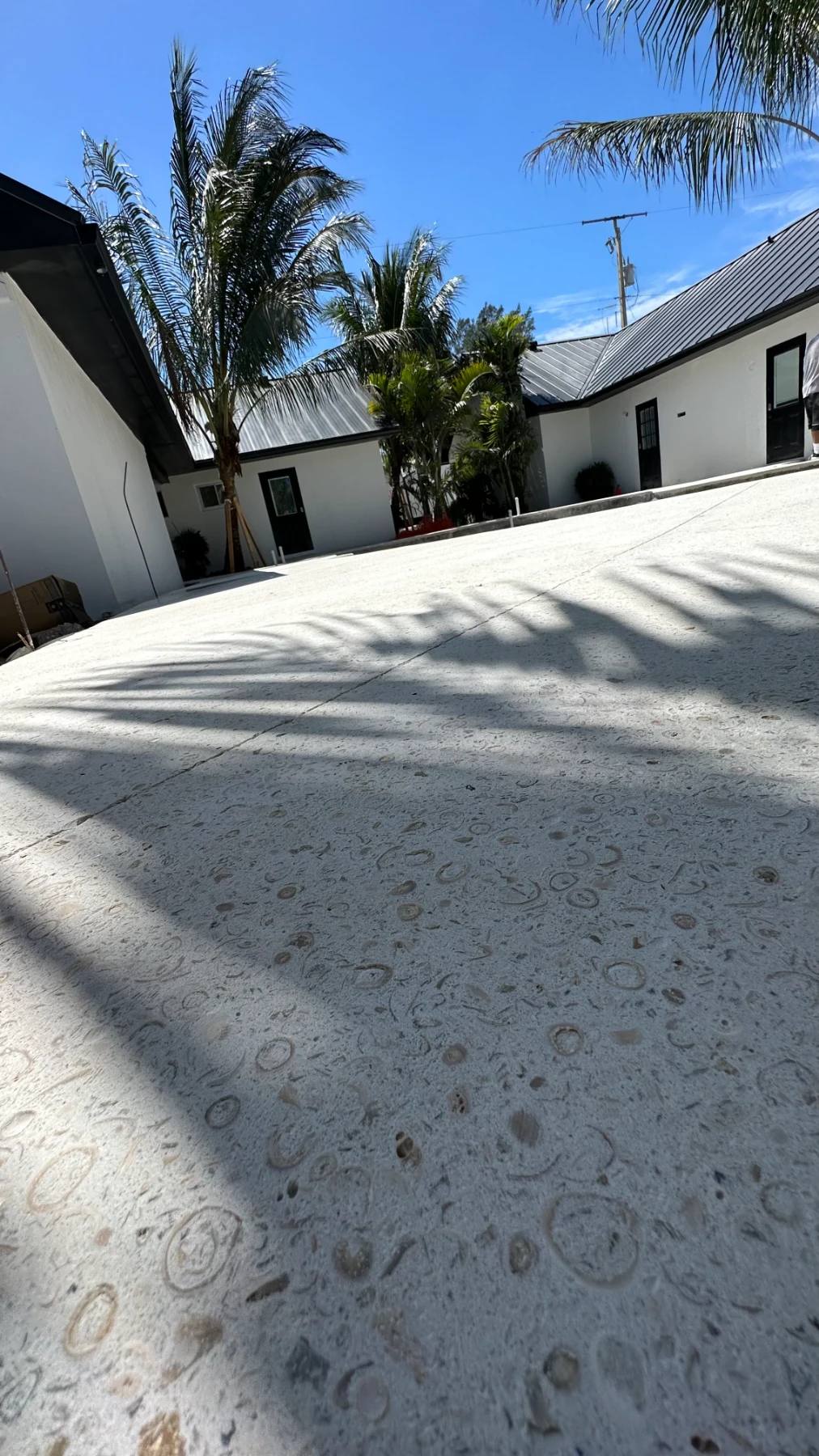 Pale Shellcrete motor court dense with ring-shaped fossil shells, palm shadows across it and a saw-cut joint running toward two white houses with dark metal roofs