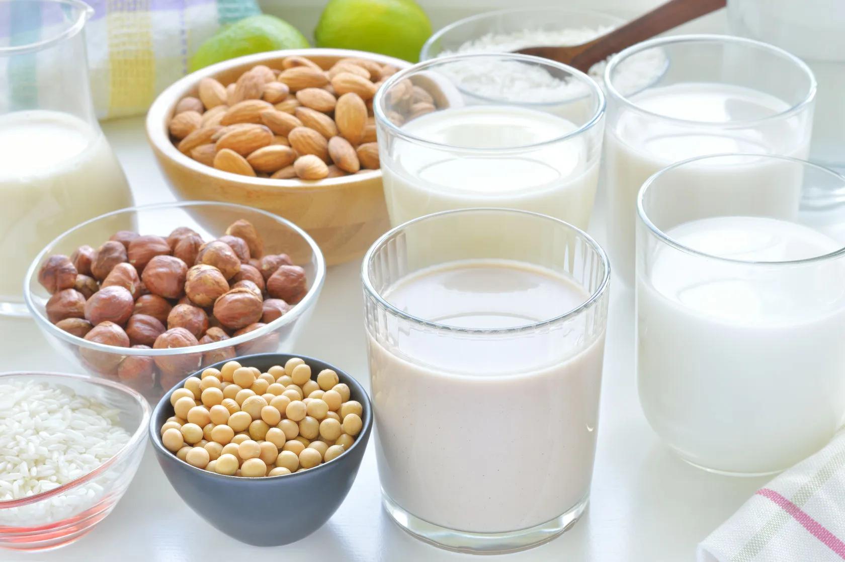 plant based milk guide