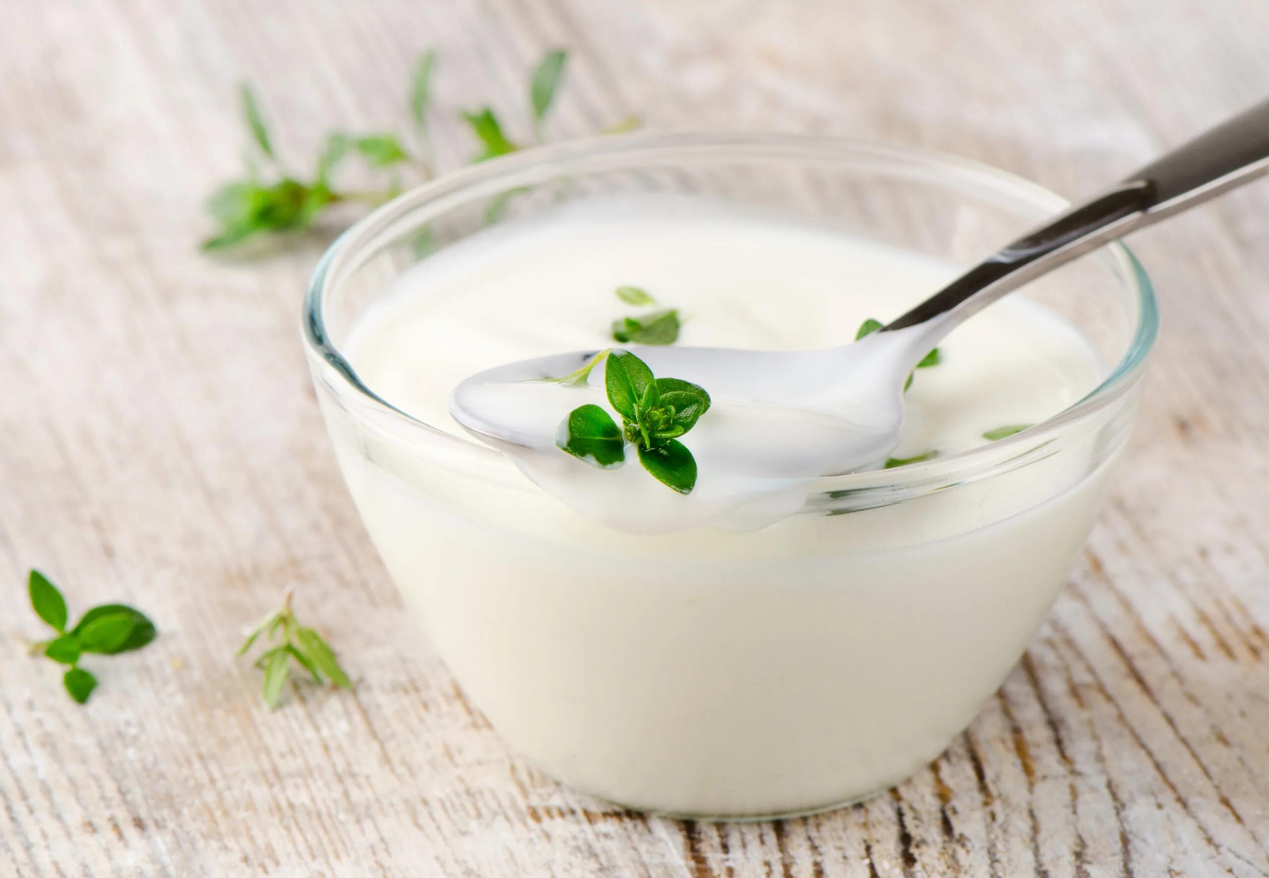 yogurt spread|yogurt spread
