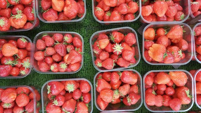 anti inflammatory foods list