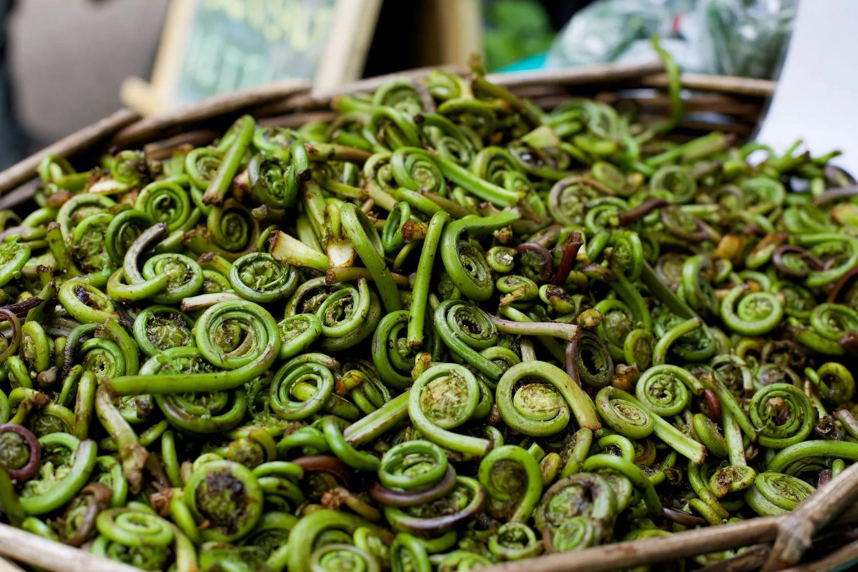 3 Healthy Foods To Eat That You Probably Haven't Tried