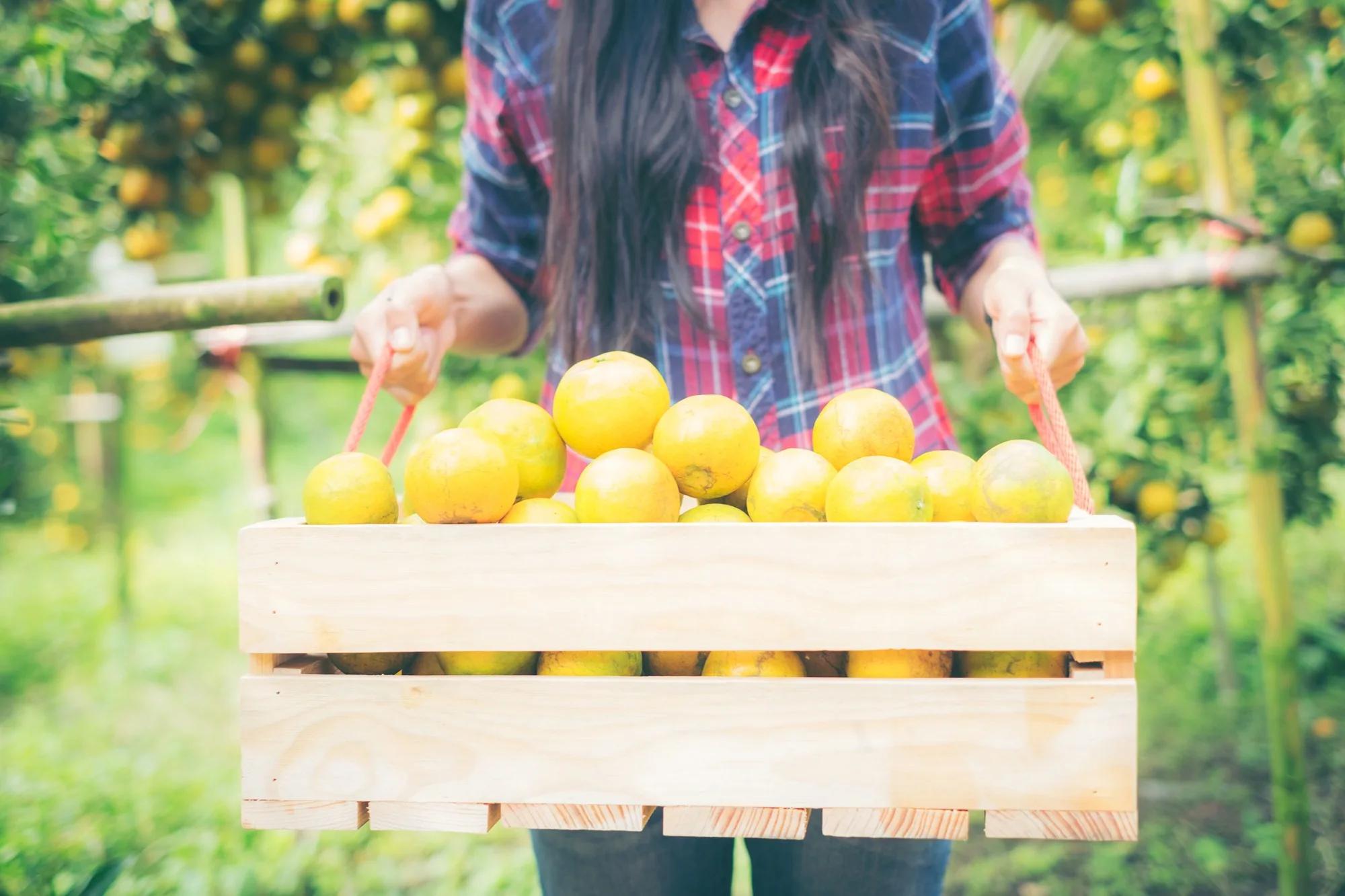 can you boost your immune system with food
