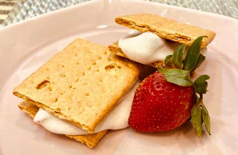 Dairy-Free Ice Cream Sandwiches