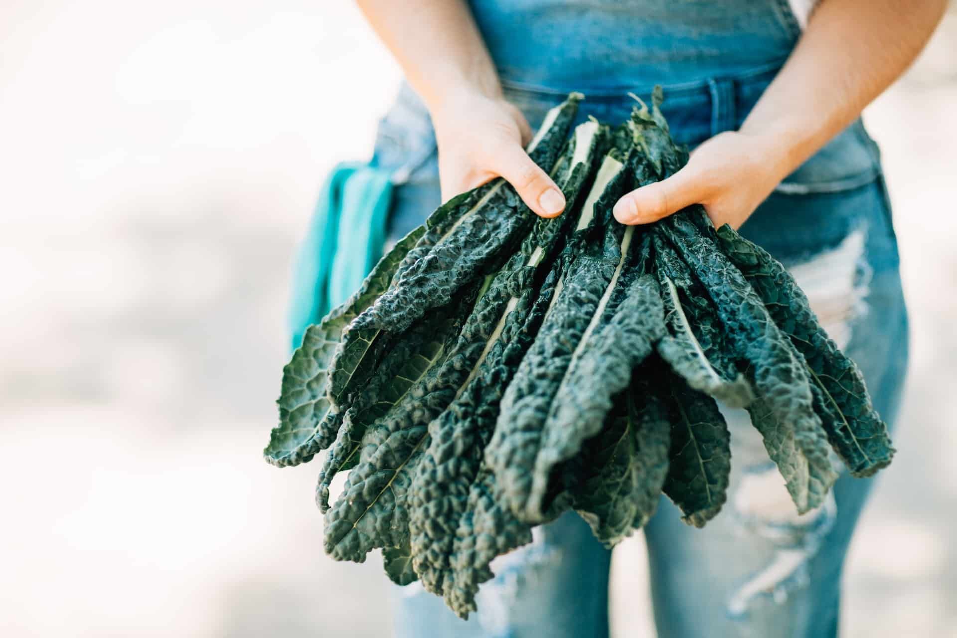 Nurturing Vision and Mind: The Lutein Connection