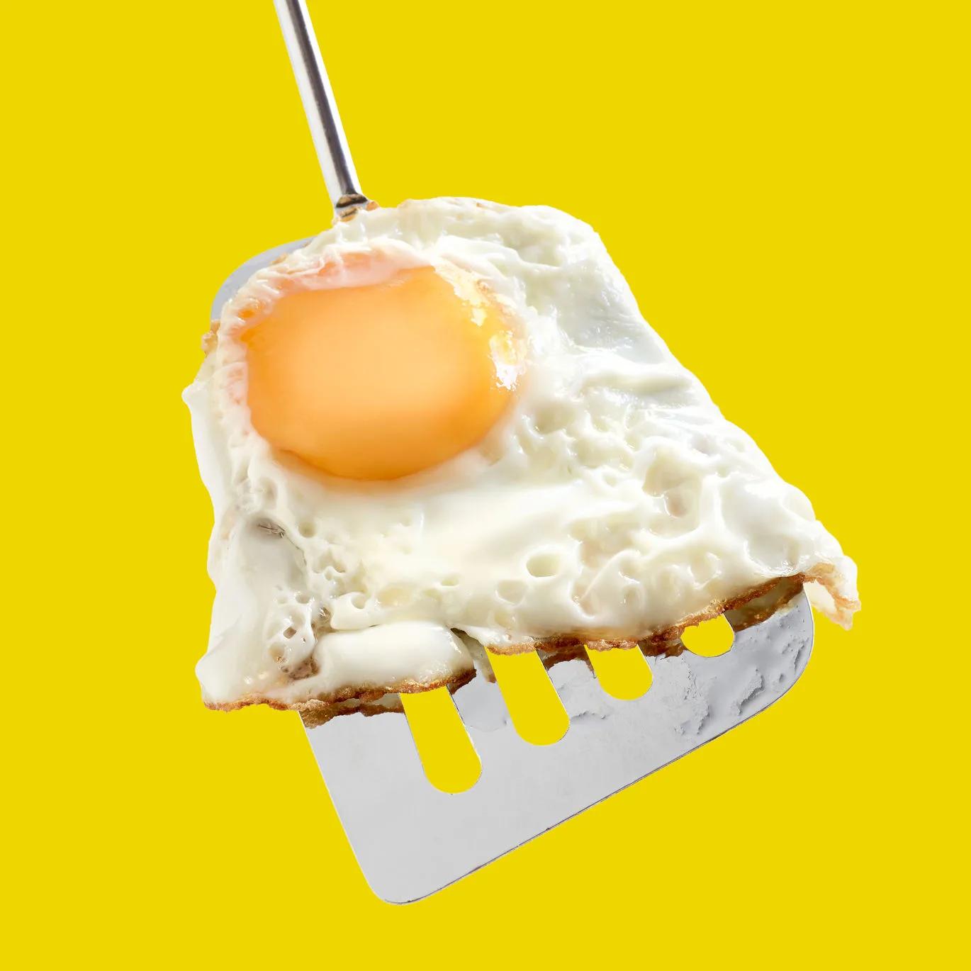 high cholesterol foods list