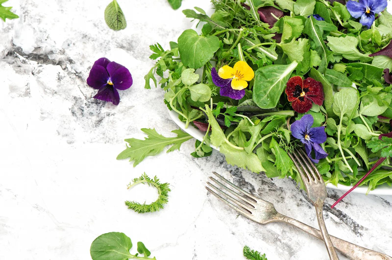 edible flowers cooking guide