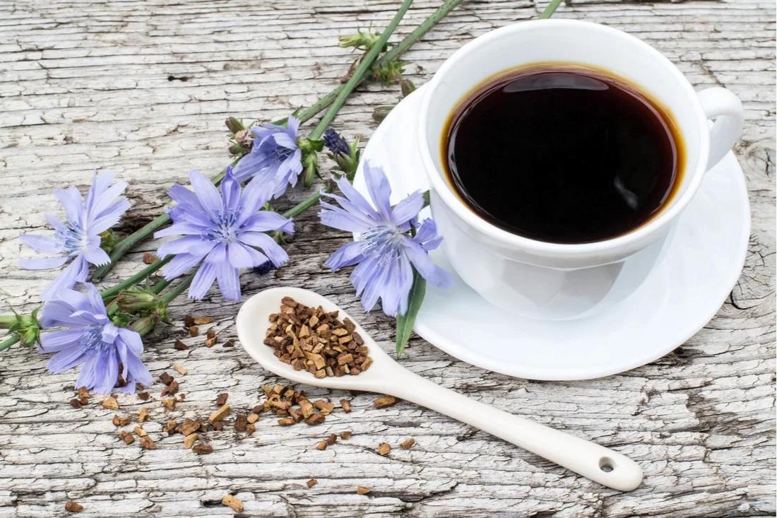 What is Chicory Root?