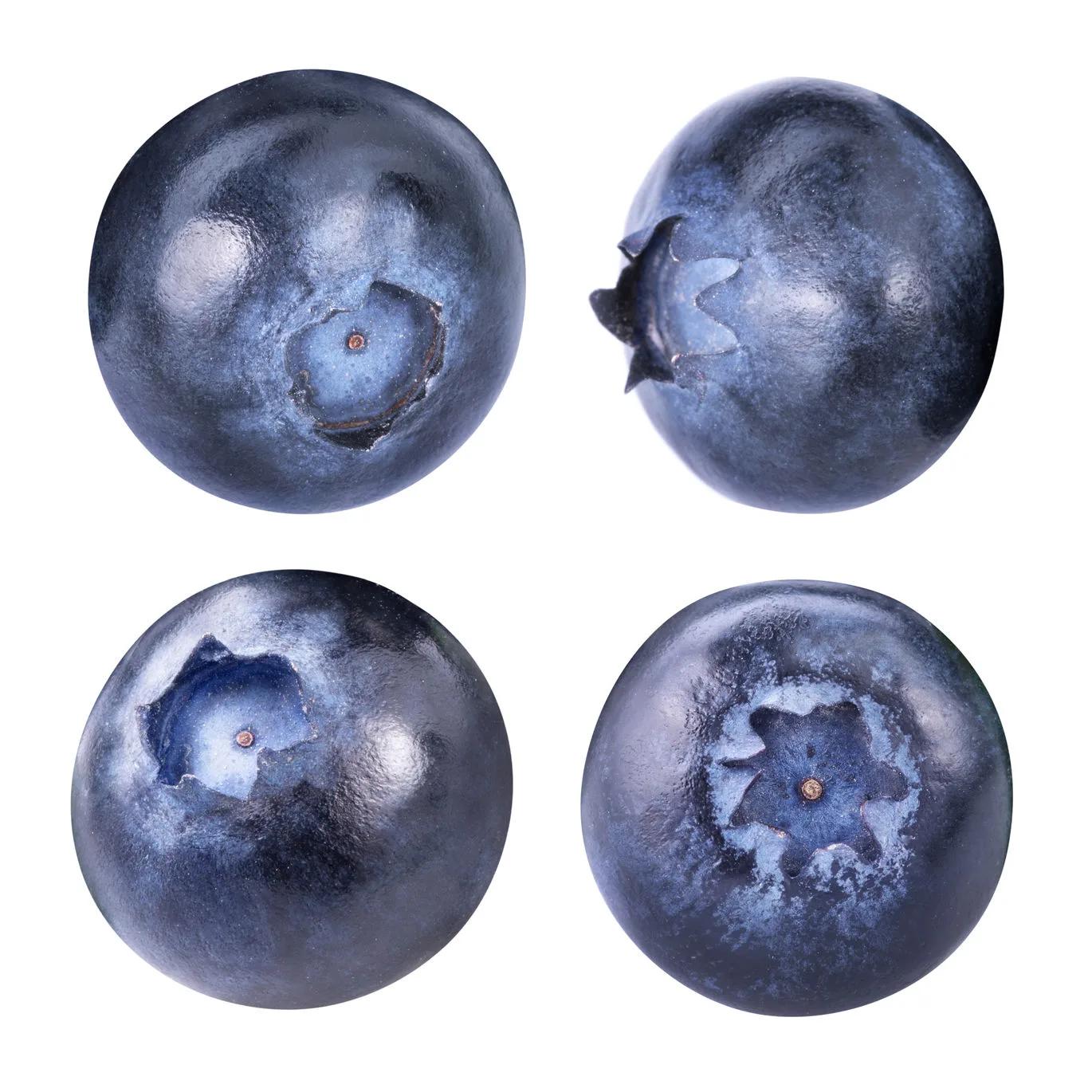 why antioxidants matter