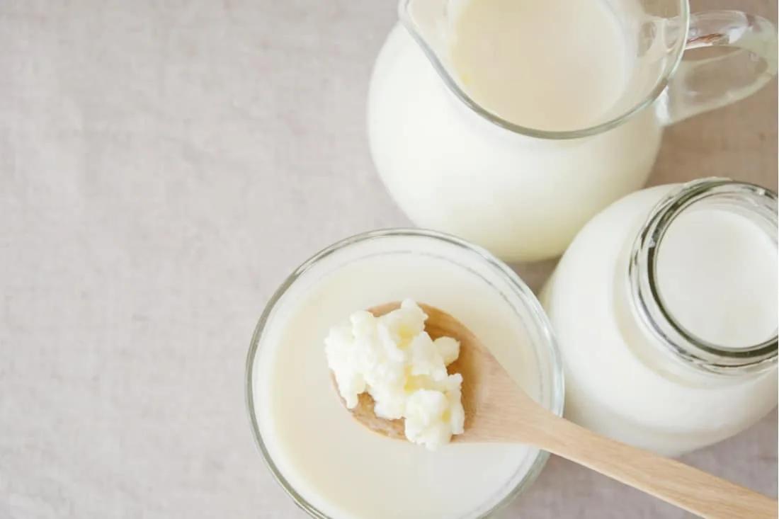 What is Kefir?