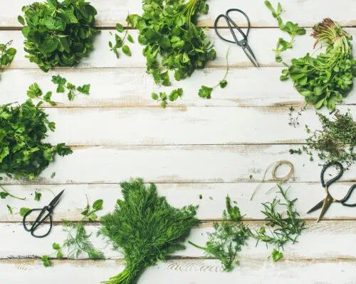 How to Store Fresh Herbs so They Actually Last